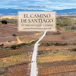 CAMINO DE SANTIAGO, EL : UN VIAJE ENTRE EL CIELO Y LA TIERRA | 9788483215906 | LAMBEA LÁZARO, REYES