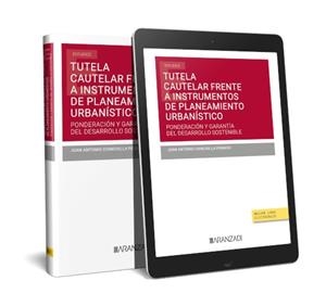 TUTELA CAUTELAR FRENTE A INSTRUMENTOS DE PLANEAMIENTO URBANÍSTICO | 9788411628549 | CHIOCHILLA PEINADO, JUAN ANTONIO