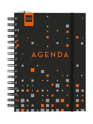 FINOCAM AGENDA CURS INSTITUT 1/4 SVV 24-25 PIXEL | 8422952376026