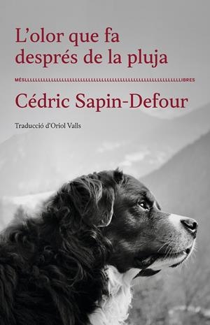 OLOR QUE FA DESPRÉS DE LA PLUJA, L' | 9788417353568 | SAPIN-DEFOUR, CÉDRIC