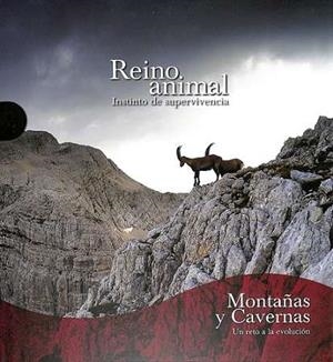 REINO ANIMAL. MONTAÑAS Y CAVERNAS | 9788419909077 | AA.EE