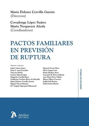 PACTOS FAMILIARES EN PREVISIÓN DE RUPTURA | 9788410174566 | CERVILLA GARZÓN, MARÍA DOLORES