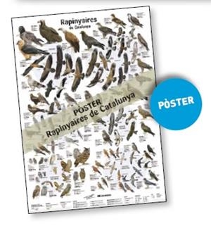 POSTER RAPINYAIRES DE CATALUNYA | 9788413563787