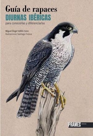 GUIA DE RAPACES DIURNAS IBERICAS | 9788483215951 | VALLÉS CANO, MIGUEL ÁNGEL