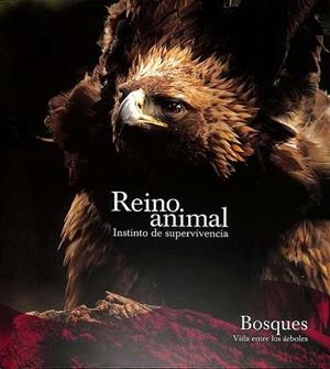 REINO ANIMAL. BOSQUES | 9788419909084 | AA.EE