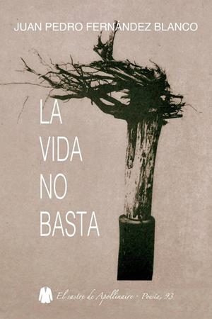 VIDA NO BASTA, LA | 9788412723953 | FERNANDEZ BLANCO, JUAN PEDRO