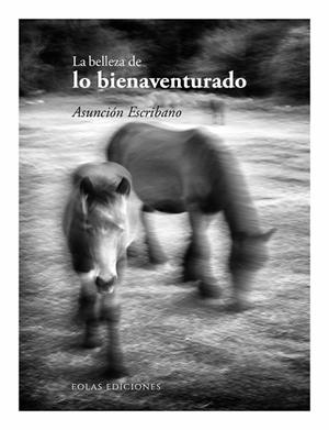 BELLEZA DE LO BIENAVENTURADO, LA | 9788410057456 | ESCRIBANO, ASUNCIÓN