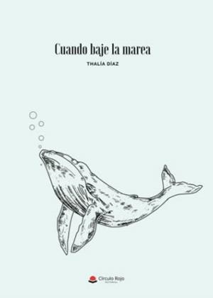 CUANDO BAJE LA MAREA | 9788411377744 | DÍAZ MORCILLO, THALÍA