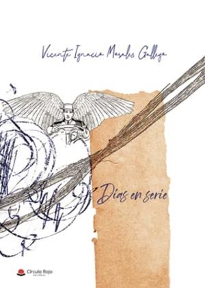 DÍAS EN SERIE | 9788411113366 | MORALES GALLEGO, VICENTE IGNACIO