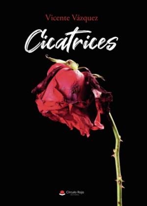 CICATRICES | 9788411555005 | VÁZQUEZ, VICENTE