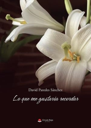 LO QUE ME GUSTARÍA RECORDAR | 9788411455411 | PAREDES SÁNCHEZ, DAVID