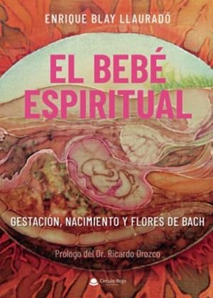 BEBÉ ESPIRITUAL, EL | 9788411045667 | BLAY LLAURADÓ, ENRIQUE