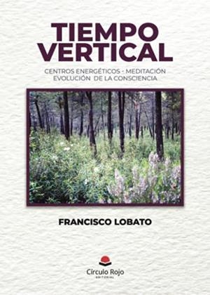 TIEMPO VERTICAL | 9788411110372 | LOBATO, FRANCISCO