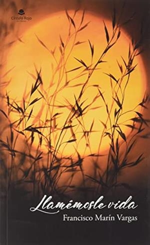 LLAMÉMOSLE VIDA | 9788411158039 | MARÍN VARGAS, FRANCISCO