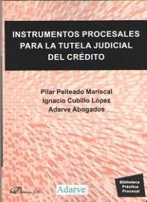 INSTRUMENTOS PROCESALES PARA LA TUTELA JUDICIAL DEL CRÉDITO | 9788491485889 | CUBILLO LÓPEZ, IGNACIO