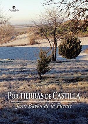 POR TIERRAS DE CASTILLA | 9788413747057 | BAYÓN DE LA FUENTE, JESÚS