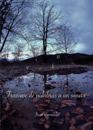 TRASVASE DE PALABRAS A UN SONETO | 9788411373180 | CAMACHO, JUAN