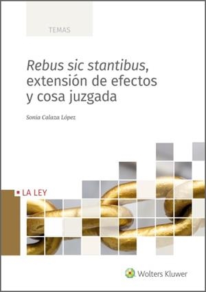 REBUS SIC STANTIBUS, EXTENSIÓN DE EFECTOS Y COSA JUZGADA | 9788418662126 | CALAZA LÓPEZ, SONIA