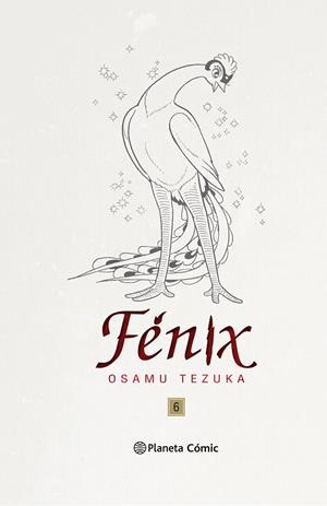 FENIX 06 (TRAZADO) | 9788491737056 | TEZUKA, OSAMU