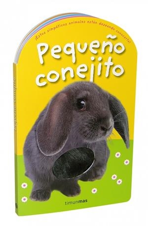 PEQUEÑO CONEJITO | 9788408084907 | VARIOS AUTORES