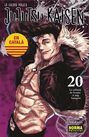 JUJUTSU KAISEN 20 (ED. EN CATALÀ) | 9788467969924 | AKUTAMI, GEGE