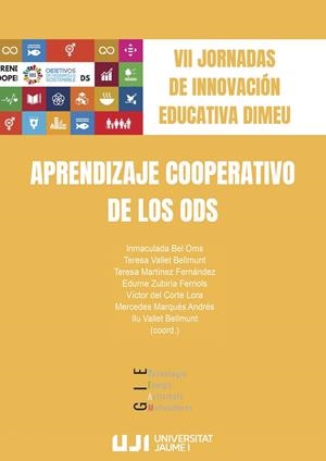 VII JORNADAS DE INNOVACIÓN EDUCATIVA DIMEU | 9788419647856 | VARIOS AUTORES