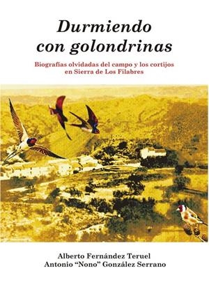 DURMIENDO CON GOLONDRINAS | 9788410196667 | FERNANDEZ TERUEL, ALBERTO