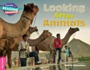LOOKING AFTER ANIMALS | 9781316605820