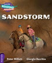 SANDSTORM | 9781107576070
