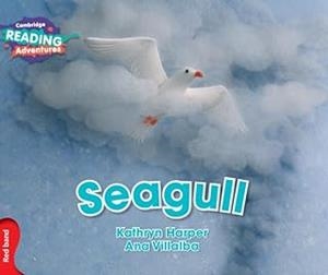 SEAGULL | 9781316503102