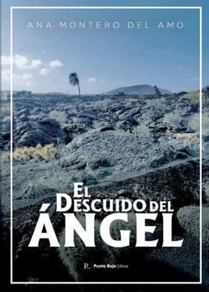 DESCUIDO DEL ÁNGEL, EL | 9788419429551 | MONTERO DEL AMO, ANA