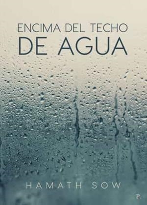 ENCIMA DEL TECHO DE AGUA | 9788419153395 | SOW , HAMATH