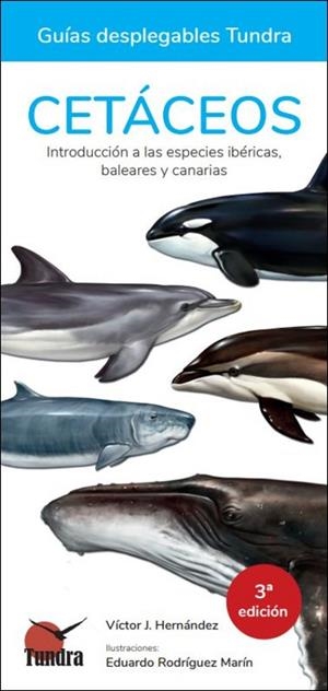 GUIAS DESPLEGABLES TUNDRA. CETACEOS (3 EDICIÓN) | 9788419624642 | HERNANDEZ, VICTOR J.