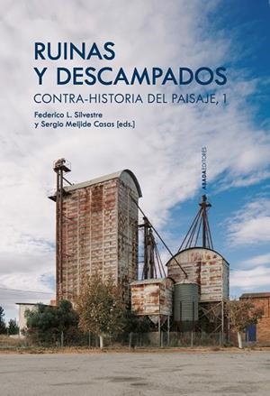 RUINAS Y DESCAMPADOS | 9788419008565 | SILVESTRE, FEDERICO L. / MEIJIDE, SERGIO