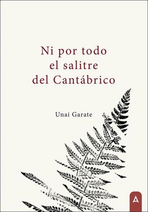 NI POR TODO EL SALITRE DEL CANTÁBRICO | 9788410374522 | GARATE COTANO, UNAI
