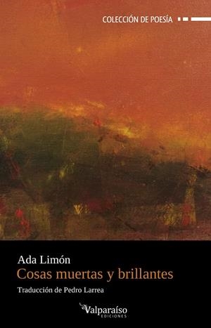 COSAS MUERTAS Y BRILLANTES | 9788410073319 | LIMON, ADA