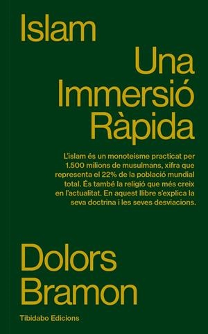 ISLAM. UNA IMMERSIÓ RÀPIDA | 9788410013100 | BRAMON, DOLORS