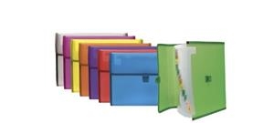 CARPETA 12 BOSSES PLASTIC COLORS VARIS | 8413623296767