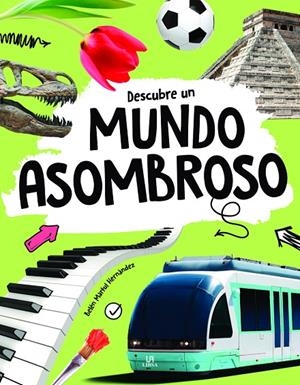 DESCUBRE UN MUNDO ASOMBROSO | 9788466241953 | MARTUL HERNANDEZ, BELEN