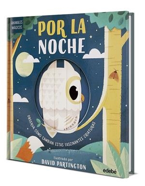ANIMALES MAGICOS. EN LA NOCHE | 9788468372099 | STONE, HARRIET