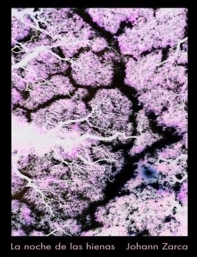 NOCHE DE LAS HIENAS, LA | 9788419154835 | ZARCA, JOHANN