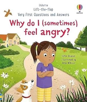 WHY DO I  SOMETIMES  FEEL ANGRY? | 9781801313155 | DAYNES, KATIE