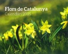 CALENDARI 2025 FLORS | 8415001047992