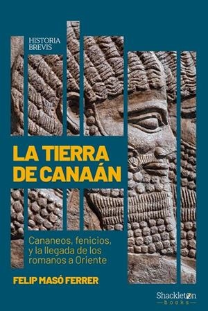 TIERRA DE CANAÁN, LA | 9788413613178 | MASO FERRER, FELIP