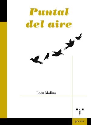 PUNTAL DEL AIRE | 9788410263260 | MOLINA, LEÓN
