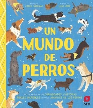 MUNDO DE PERROS, UN | 9788411822862 | SOROSIAK, CARLIE