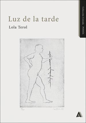 LUZ DE LA TARDE | 9788410374584 | TEROL, LOLA