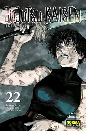 JUJUTSU KAISEN 22 (ED. EN CATALÀ) | 9788467969948 | AKUTAMI, GEGE