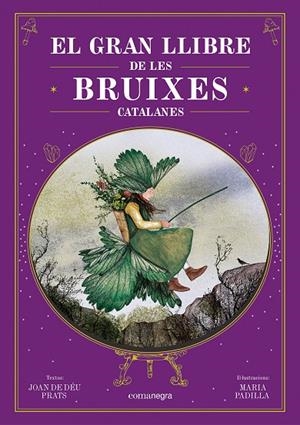 GRAN LLIBRE DE LES BRUIXES CATALANES, EL | 9788410161337 | DE DÉU PRATS, JOAN
