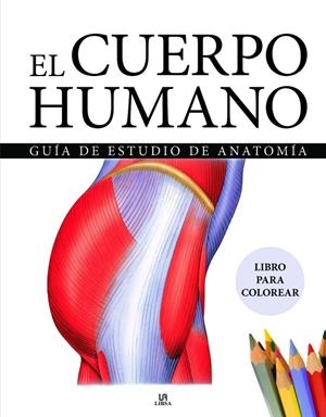 CUERPO HUMANO, EL | 9788466243940 | EQUIPO EDITORIAL AMBER BOOKS